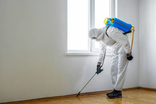 Best Pest Prevention Services  in Coloma, MI